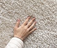 Blogs | Carpet Cleaning Alameda CA
