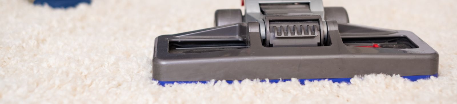 Carpet Cleaning Company Alameda CA