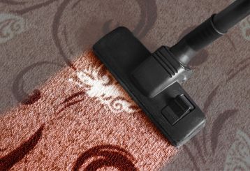Carpet Cleaning Services Near Me, Alameda CA