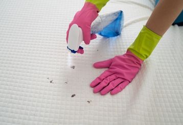 Tips before Hiring a Professional Stain Removal Service | Alameda