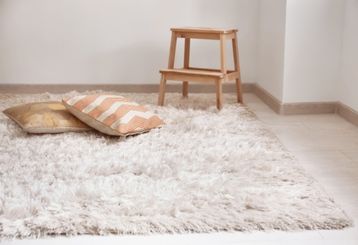 Residential Carpet Cleaning Near Me, Alameda CA