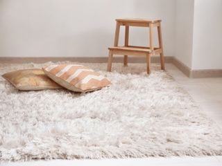 Residential Carpet Cleaning - Alameda Residential Carpet Cleaning In Alameda